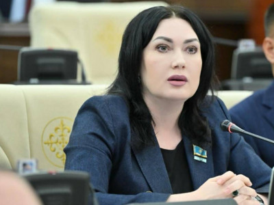 "Заң мен Тәртіп" сервисінің жұмысы көп сұрақ туындатады – депутат