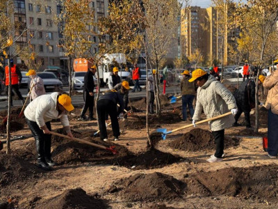 Астанада жалпықалалық ауқымды сенбілік өтіп жатыр