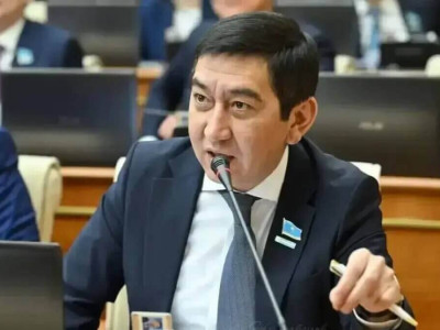 Нұрбол Назарбаевтың иелігіндегі компаниялар мен активтерді тексеру керек – Ринат Зайыт