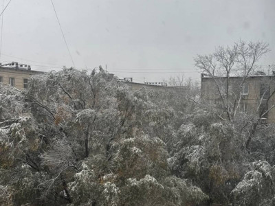 Қостанай облысында қар жауды