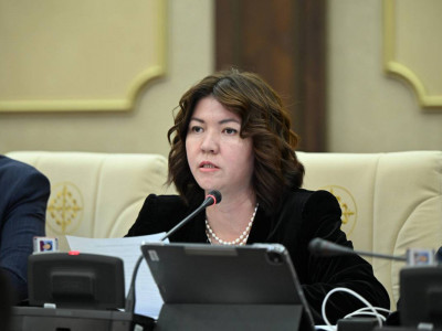 Жұлдыз Сүлейменованың Мәжілістегі өкілеттігі тоқтатылды