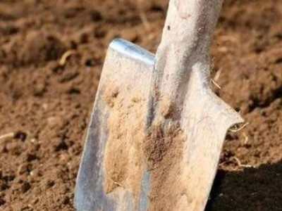 Шымкентте дүкенге бара жатқан тұрғын пакетке салынған адам сүйегін тауып алған