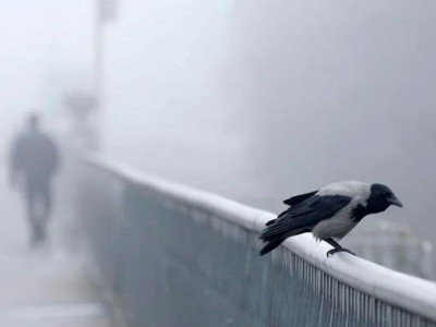 Еліміздің 13 өңірінде дауылды ескерту жарияланды