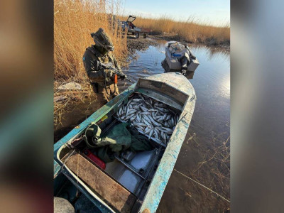 ШҚО-да браконьерлерден жарты тонна балық тәркіленді