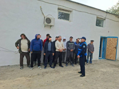 Қызылорда облысында заңсыз жұмыс істеген 14 шетел азаматы ұсталды
