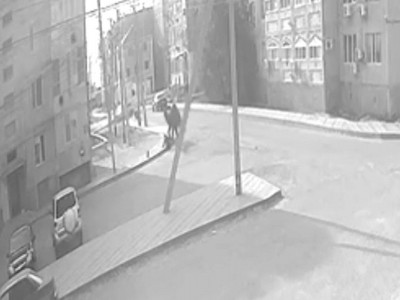 Құлсарыда түйе жасөспірімге шабуыл жасаған (ВИДЕО)