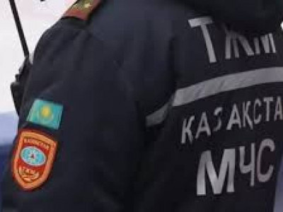 Ақмола облысында ағаш кесу кезінде ер адам қаза тапты