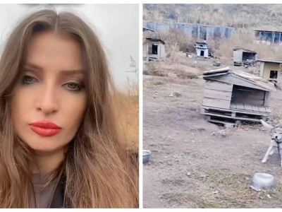 Алматы облысында жануарлар орталығына бетперде киген адамдар шабуыл жасаған (ВИДЕО)