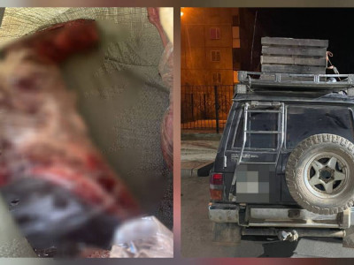 Қарағандыда заңсыз киік аулаған адам ұсталды