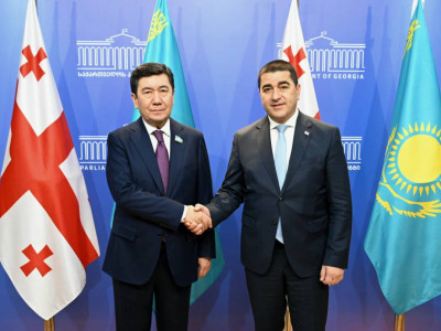 Ерлан Қошанов Грузия депутаттарымен алдағы парламенттік реформаны талқылады