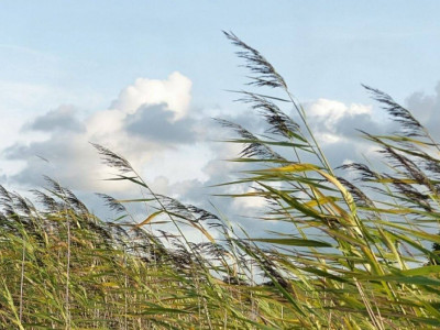 31 қазан еліміздің басым бөлігінде жел күшейеді