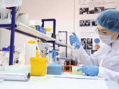 Зерттеуден нарыққа дейін