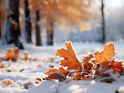«Қар, аяз, боран»: Қазақстанның бірнеше өңірінде дауылды ескерту жарияланды