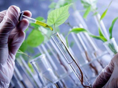 Елімізде аграрлық салада маман тапшылығы қалай реттеліп жатыр?