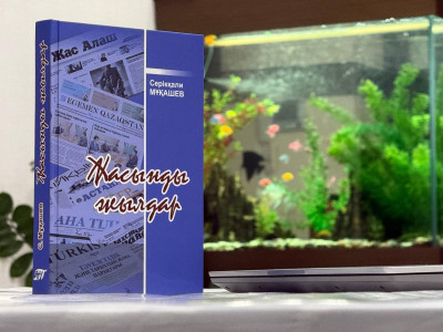 Көңіл гравитациясы