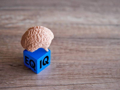 IQ: бізді ақымақтар қоғамы күтіп тұр