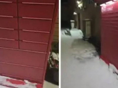 Екібастұзда біреулер мысықты поштоматтың ұяшығына қамап кеткен