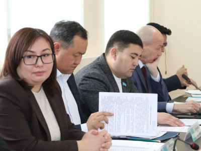 ШҚО-да кәсіпкерлік мәселелері жөніндегі Өңірлік үйлестіру кеңесінің алғашқы отырысы өтті – «AMANAT»