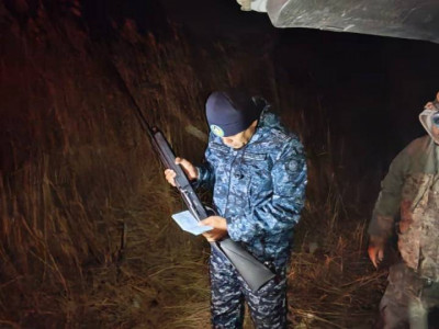 Қызылорда облысында полицейлер заңсыз аңшылықтың 105 дерегін анықтады