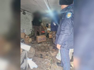 Павлодар облысында көші-қон заңнамасын бұзған 132 шетел азаматы ұсталды