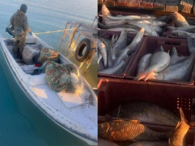 «Шығын – 1,2 млн теңге»: Балқаш көлінде браконьерлер ұсталды