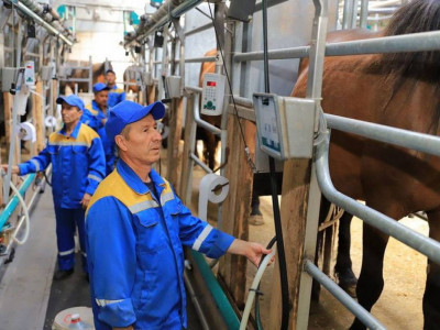 АҚШ-қа экспортталатын қарағандылық сүт өнімдері енді Қытайға жеткізілмек