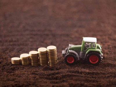 Қостанай облысында шаруа қожалықтары 8,5 млн теңге салық төлемеген