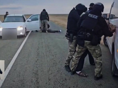 Қазақстанда мал ұрлығына қатысы бар 4 иқылмыстық топ ұсталды (ВИДЕО)