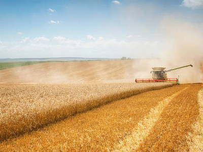 Биыл Ақмола облысы рекордтық мөлшерде астық жинады – Марат Ахметжанов