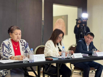 «Арсыз дүниелердің ықпалына қарсымыз»: Алматыда ЛГБТ насихатына қарсы заң талқыланды