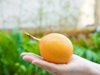 Ғалымдар холестеринді ретке келтіретін жемісті атады