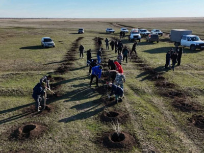 Аймақтың тазалығын сақтау – баршаға ортақ міндет: «Таза бейсенбі» акциясы аясында өңірлерде мыңдаған көшет отырғызылды