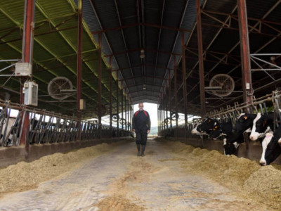 СҚО-да 57 жастағы шаруа қожалығының басшысы өлі табылды