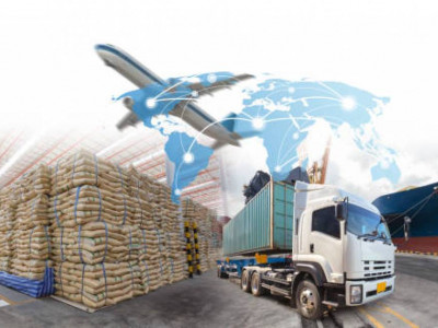 Тоқаев агроөнім экспортында әуе тасымалын белсенді қолдануды тапсырды