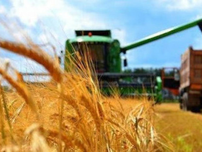 Қазақстанда рекордтық 27,1 млн тонна астық жиналды