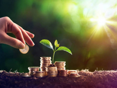 Қостанайда шенеуніктер инвесторға тегін жер бермеген