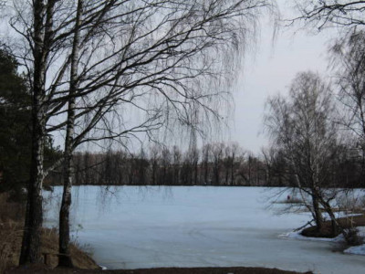 Көкшетауда мұз астына түскен үш баланы құтқарып қалған ер адам марапатталды