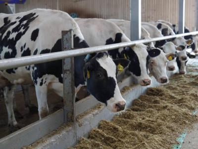 Қазақстанның ауыл шаруашылығы өнімдері 15-тен аса елге экспортталады