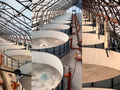 Шығыс Қазақстанда 348 млн теңгеге балық өсіру кешені салынады