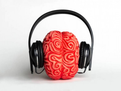 Сүйікті әніңізді тыңдау миыңызды белсендірек етеді