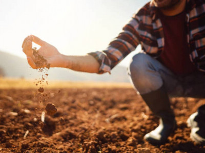 Абай облысында 171,2 мың гектар жер мемлекетке қайтарылды