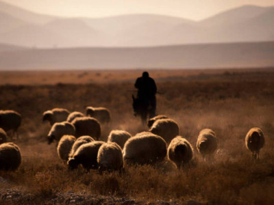 Қостанай облысында ер адам мал іздеймін деп жоғалып кетті