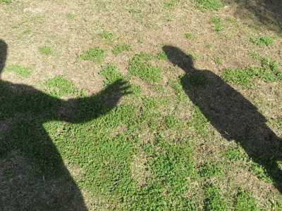 Маңғыстау облысында кәмелетке толмаған баланы зорлады деген күдікпен танымал видеограф ұсталды