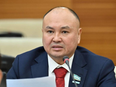 Бірқатар депутат аудан әкімдерін сайлауды уақытша тоқтата тұру қажет деп есептейді