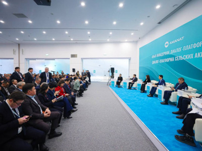 Ауыл әкімдерінің диалог-платформасы панельдік сессияларда жалғасты