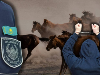 Жетісу облысында мал ұрлығына қатысы бар күдіктілер ұсталды