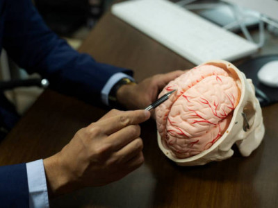 Ғалымдар мидың жұмысына ең қауіпті өнімдерді анықтады