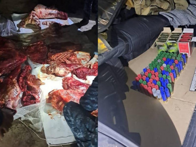 Павлодар облысында заңсыз аңшылықпен айналысқандар ұсталды