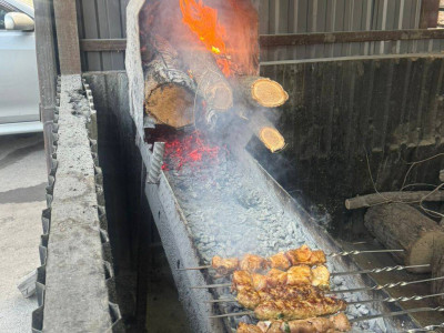 Алматыда қатты отын қолданатын кәуапханаларға бақылау күшейтілді