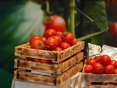 Шымкентте жылына 36 мың тонна көкөніс өсіретін жылыжай кешені салынады